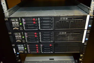 DSC_1353 (Large).JPG